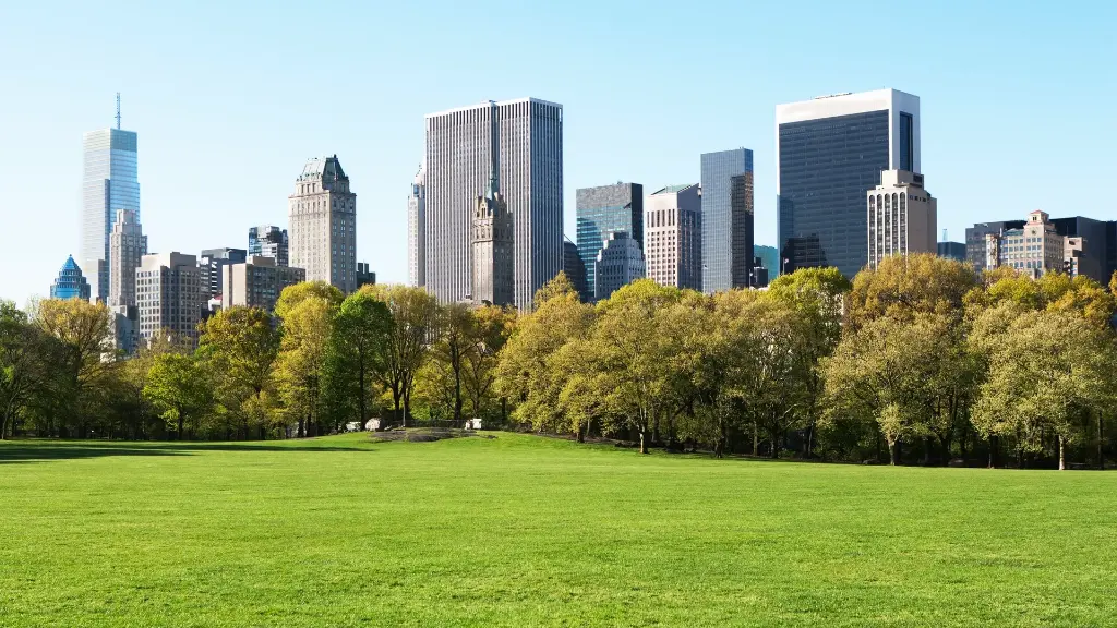 Central Park's Impact on New York City
