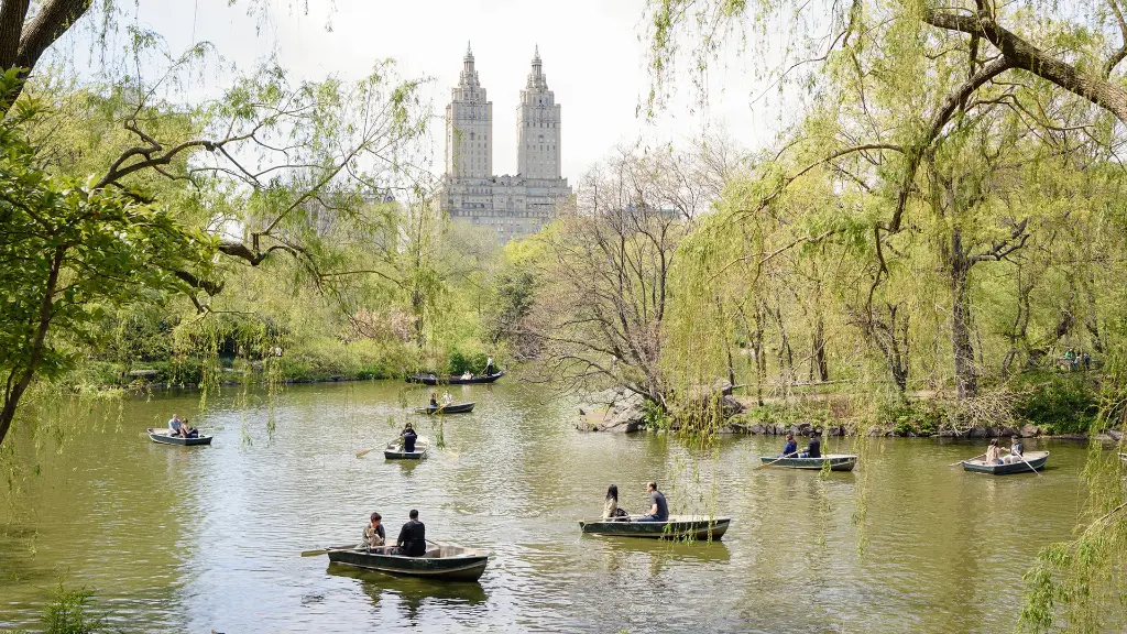 Central Park:Recreational Activities