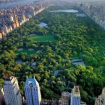 Central Park: Explore the Heart of Manhattan’s Green Haven