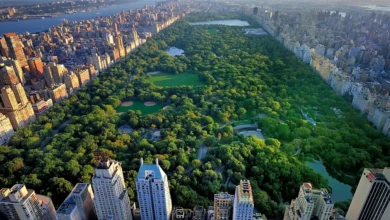 Central Park Explore the Heart of Manhattan's Green Haven