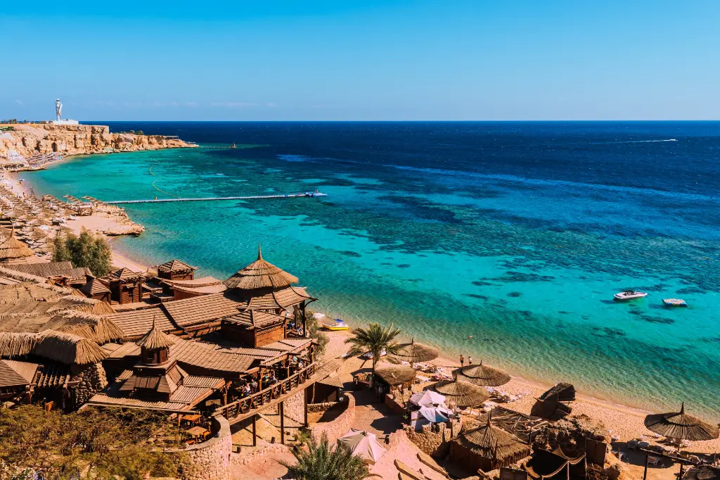 South Sinai's Beach Life