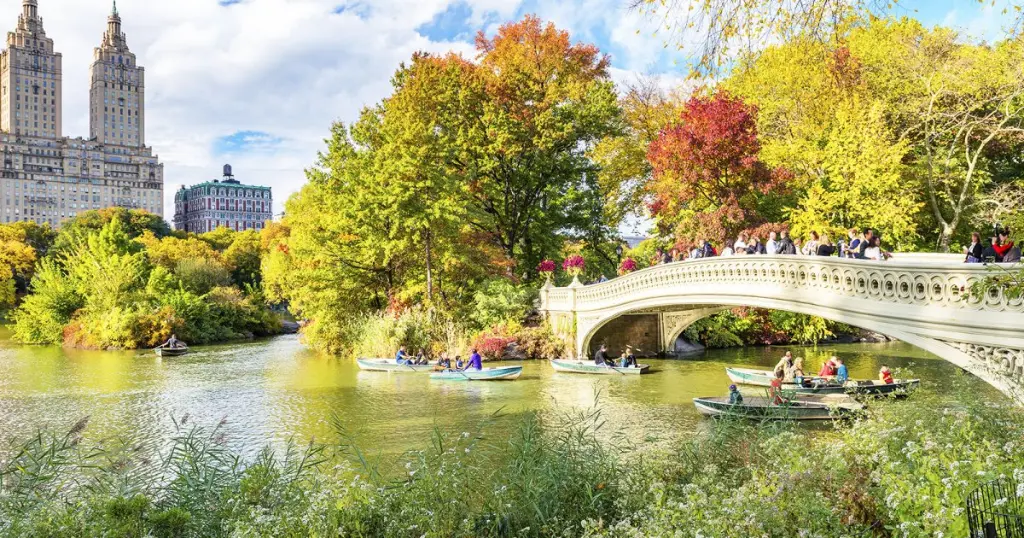 The Natural Beauty of Central Park