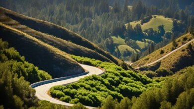 What are the most scenic drives in California?