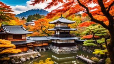 What are the top cultural activities in Kyoto, Japan?