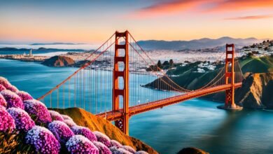 Where can I find the best viewpoints in San Francisco?
