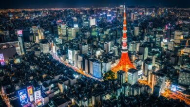 Which neighborhoods offer the best nightlife in Tokyo?