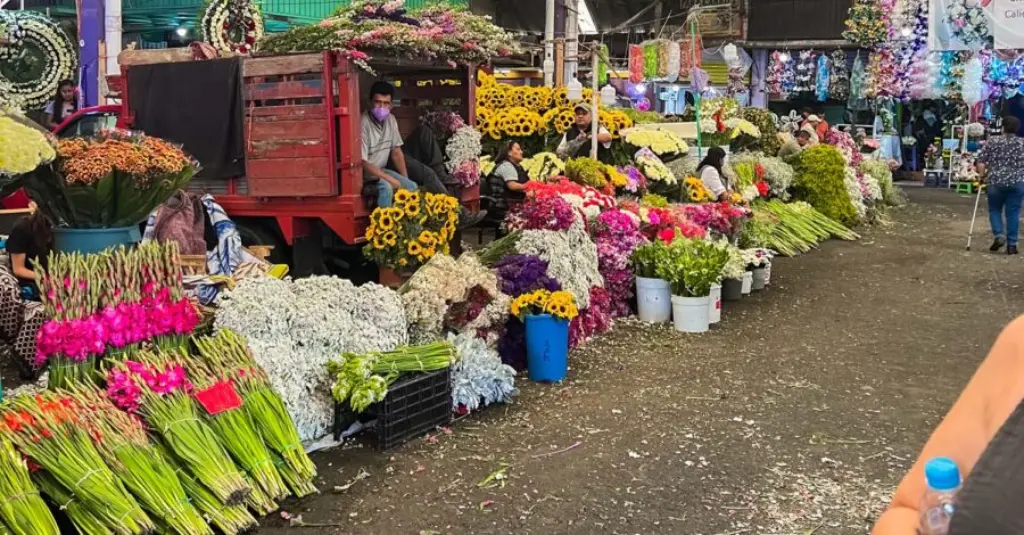 the Best Flowers Market in Mexico City