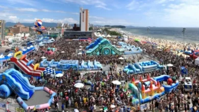 Boryeong Mud Festival Crowd