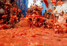 La Tomatina Festival Crowd in Bunol, Spain