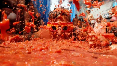 La Tomatina Festival Crowd in Bunol, Spain